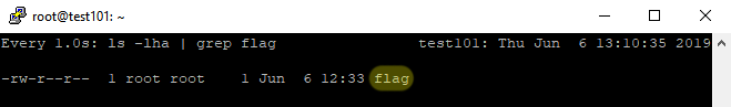 flag file is created on the target server